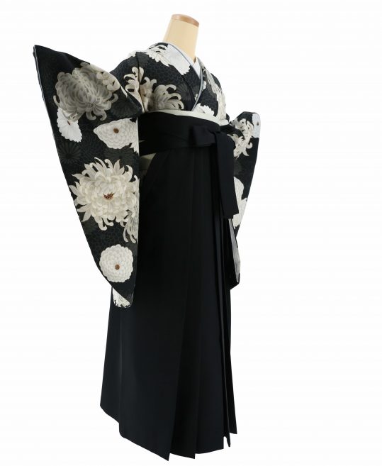 卒業式着物[モダン]黒にグレー白の菊柄No.807